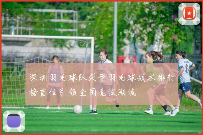 深圳羽毛球队荣登羽毛球战术排行榜首位引领全国竞技潮流
