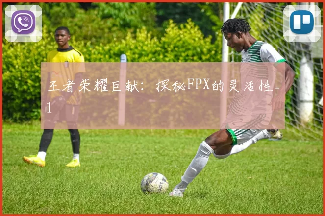 王者荣耀巨献：探秘FPX的灵活性_1