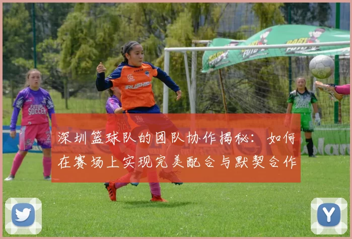 深圳篮球队的团队协作揭秘：如何在赛场上实现完美配合与默契合作
