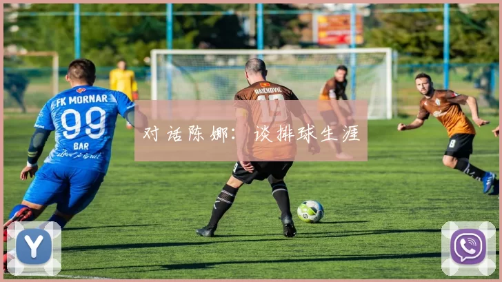 对话陈娜：谈排球生涯