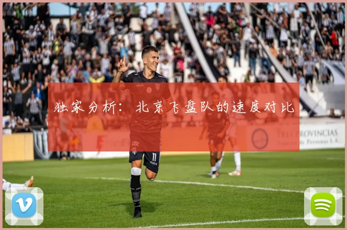 独家分析：北京飞盘队的速度对比